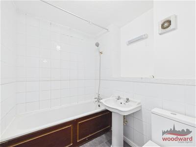 Picture 15
